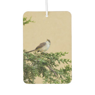 Spatz Autolufterfrischer