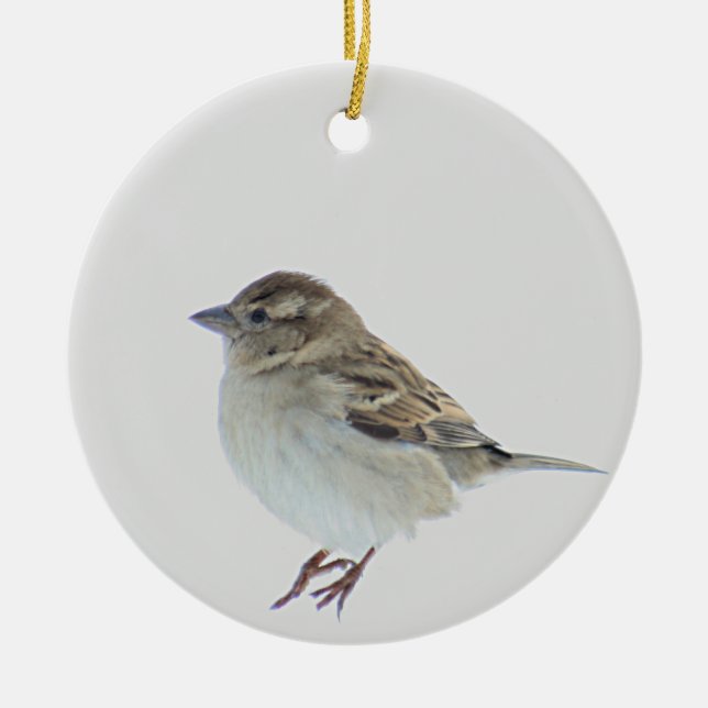 Spatz Keramik Ornament (Vorne)