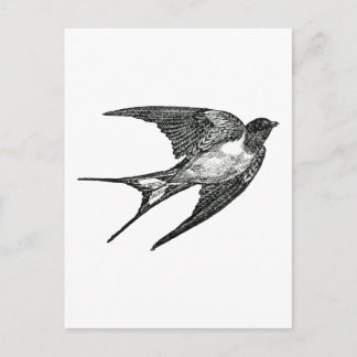 Spatz Postkarte