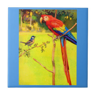 Spatz und Papagei Fliese