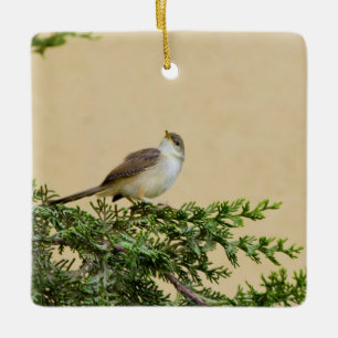 Spatzen Postkarte Keramikornament