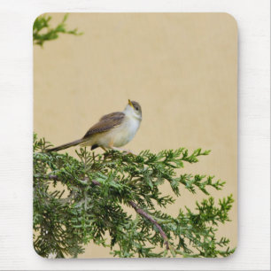 Spatzen Postkarte Mousepad