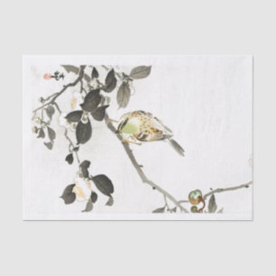 SPATZEN-UND KIRSCHblüte Seidenpapier