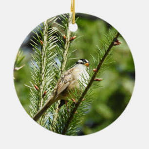 Spatzen, Vögel, Wildtiere, Zierpflanzen Keramik Ornament