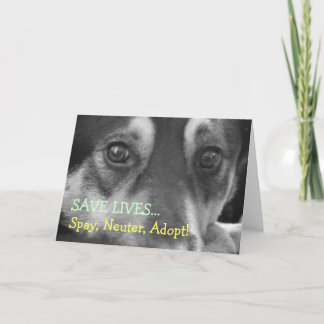 Spay Neutrum adoptieren die Pflege Karte