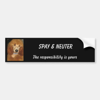 Spay u. neutralisieren Sie Autoaufkleber