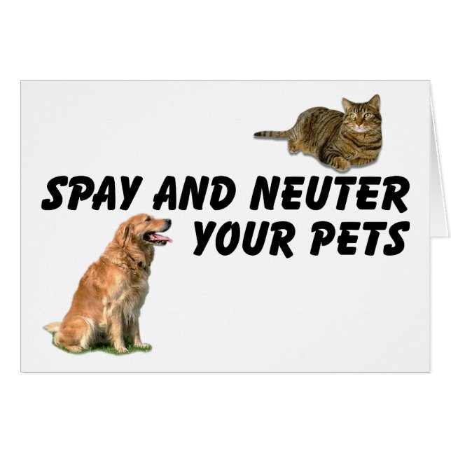 Spay und Neuter (Vorderseite (Horizontal))
