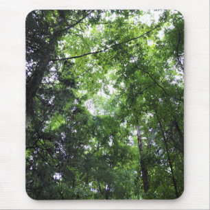 Spazieren Sie durch den Wald, Chester, South Carol Mousepad