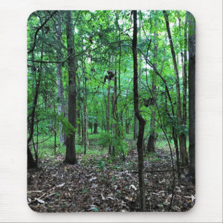 Spazieren Sie durch den Wald, Chester, South Carol Mousepad