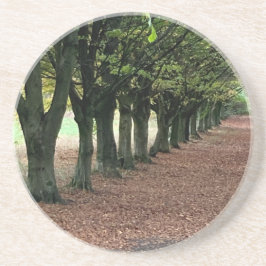 Spazieren Sie durch den Wald Getränkeuntersetzer