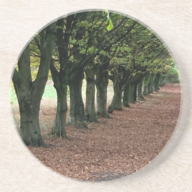 Spazieren Sie durch den Wald Getränkeuntersetzer (Vorne)