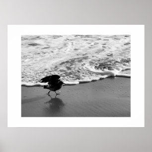 Spazieren Sie durch die Waves California Color Fot Poster