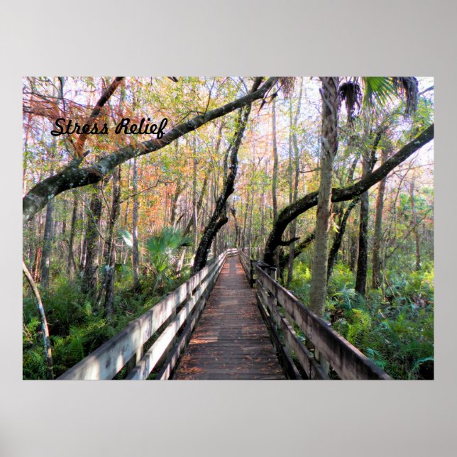 Spazieren Sie in das Waldposter Poster (Vorne)