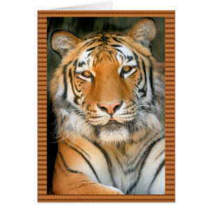 Spaziergang auf der wilden Seite - Tiger