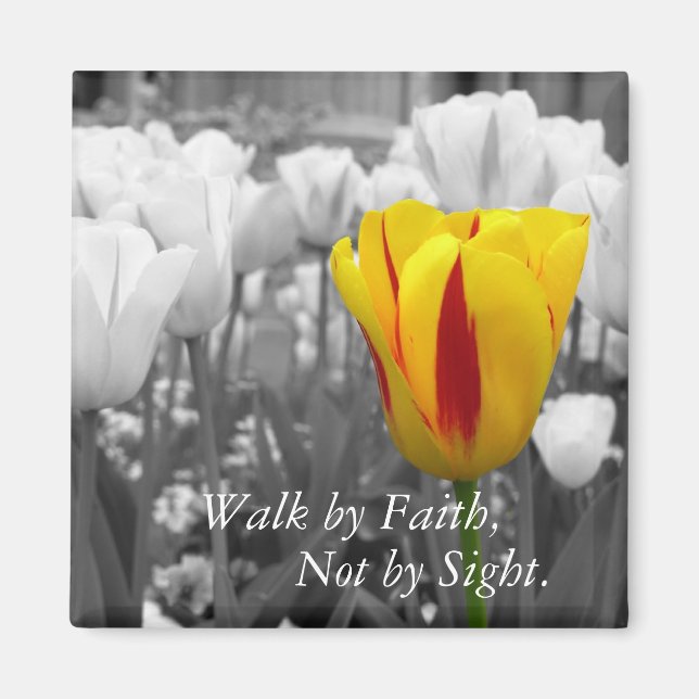 Spaziergang durch Faith Magnet (Vorne)
