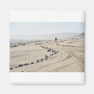 Spaziergang entlang der Skelettküste Magnet