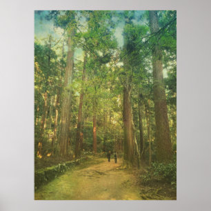 Spaziergang entlang des ruhigen Kozan-ji Waldes Ky Poster