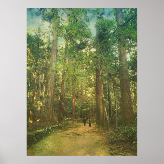 Spaziergang entlang des ruhigen Kozan-ji Waldes Ky Poster (Vorne)