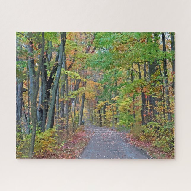 Spaziergang im Autumn Woods Design Puzzle (Horizontal)