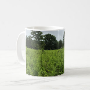 Spaziergang im Wald, Chester, South Carolina Can Kaffeetasse