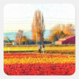 Spaziergänge durch Skagit Tulip Felder Quadratischer Aufkleber