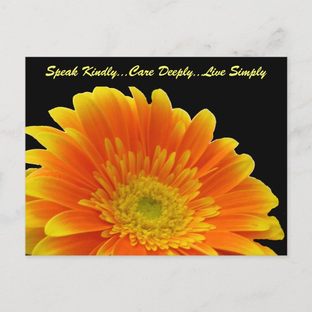 Speak Kindly Gerbera Postcard Postkarte (Vorderseite)