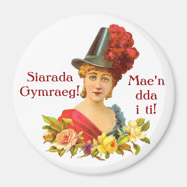 Speak Welsh! magnet (Vorne)