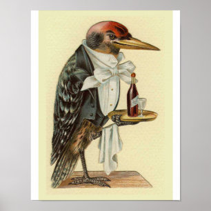 Specht-Kellner-Vintage Vogel-Illustration Poster
