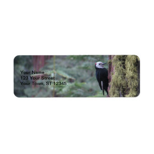 Specht Yosemite