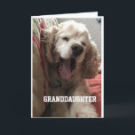 **SPECIAL BIRTHDAY** for "GRANDDAUGHTER" Card Karte<br><div class="desc">GREAT CARD FOR THAT SPECIAL ***GRANDDAUGHTER***</div>