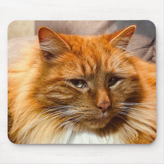 Special Kitty Nemo Mousepad (Vorne)