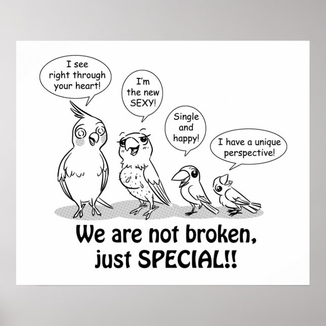 Special Need Birds Poster (Vorne)