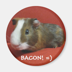 Speck, SPECK! =) Magnet