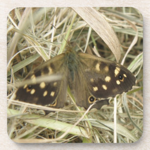 Speckling Wood Butterfly Cork Untersetzer