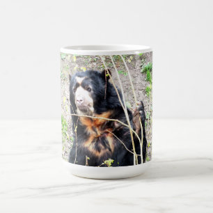 Spectacled Bär Kaffeetasse
