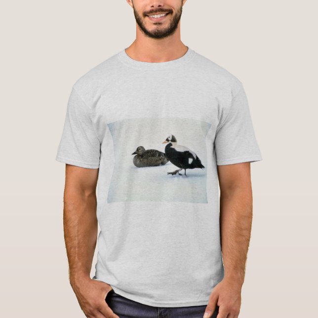 Spectacled Eiderenten T-Shirt (Vorderseite)