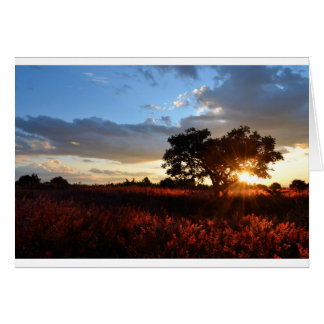 Spectaculaire coucher de soleil africain