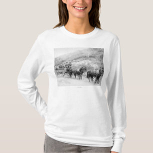 Speditionsgesellschaft Wells Fargos T-Shirt