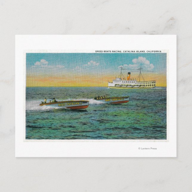 Speed Boote in Catalina Island, Kalifornien Postkarte (Vorderseite)