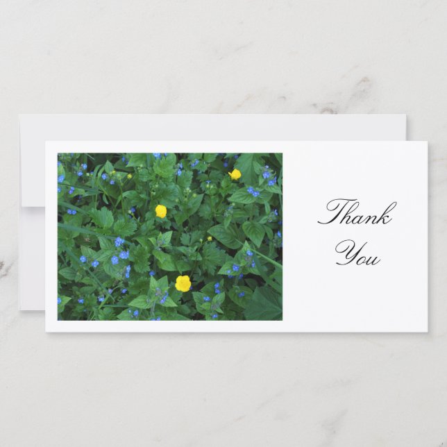 Speedwell und Buttercups - Vielen Dank Dankeskarte (Vorderseite)