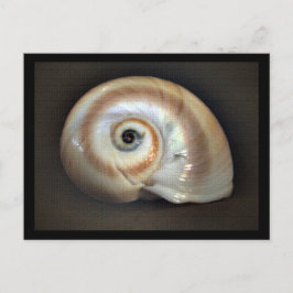 Speicherkarte für den Strand Postkarte