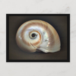 Speicherkarte für den Strand Postkarte