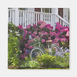Spekatkuläre Frühlingsblüte, skurrile Antiquität Magnet