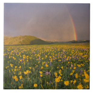 Spekatkulare Wiesen mit Wildblumen bei Sonnenaufga Fliese