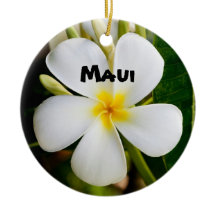 Spektakuläre Maui