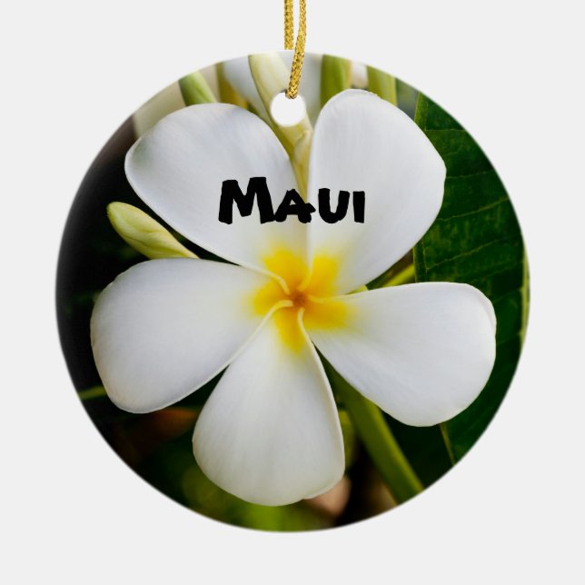 Spektakuläre Maui Keramikornament (Vorne)