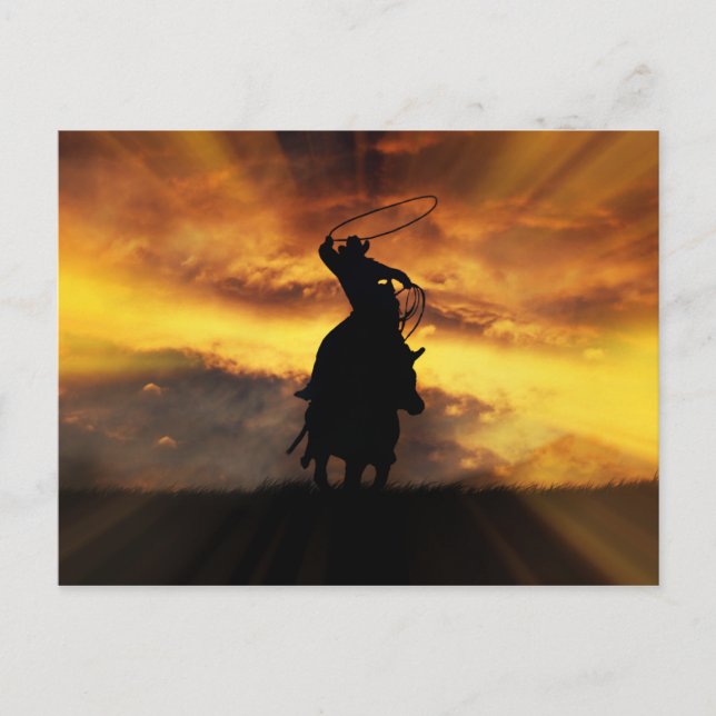 Spektakuläre Roping Cowboy Horse Steer und Sunset Postkarte (Vorderseite)