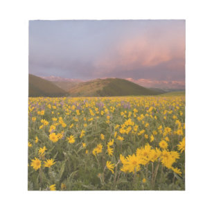 Spektakuläre Wildblume Wiese bei Sonnenaufgang Notizblock