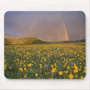 Spektakuläre Wildblumenwiese bei Sonnenaufgang in  Mousepad