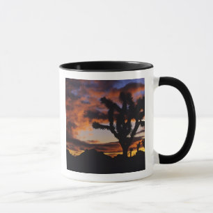 Spektakulärer Sonnenaufgang auf Joshua Tree Natio Tasse